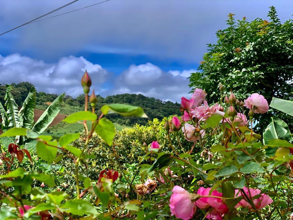 Finca Neblina Del Bosque Estelí Buitenkant foto