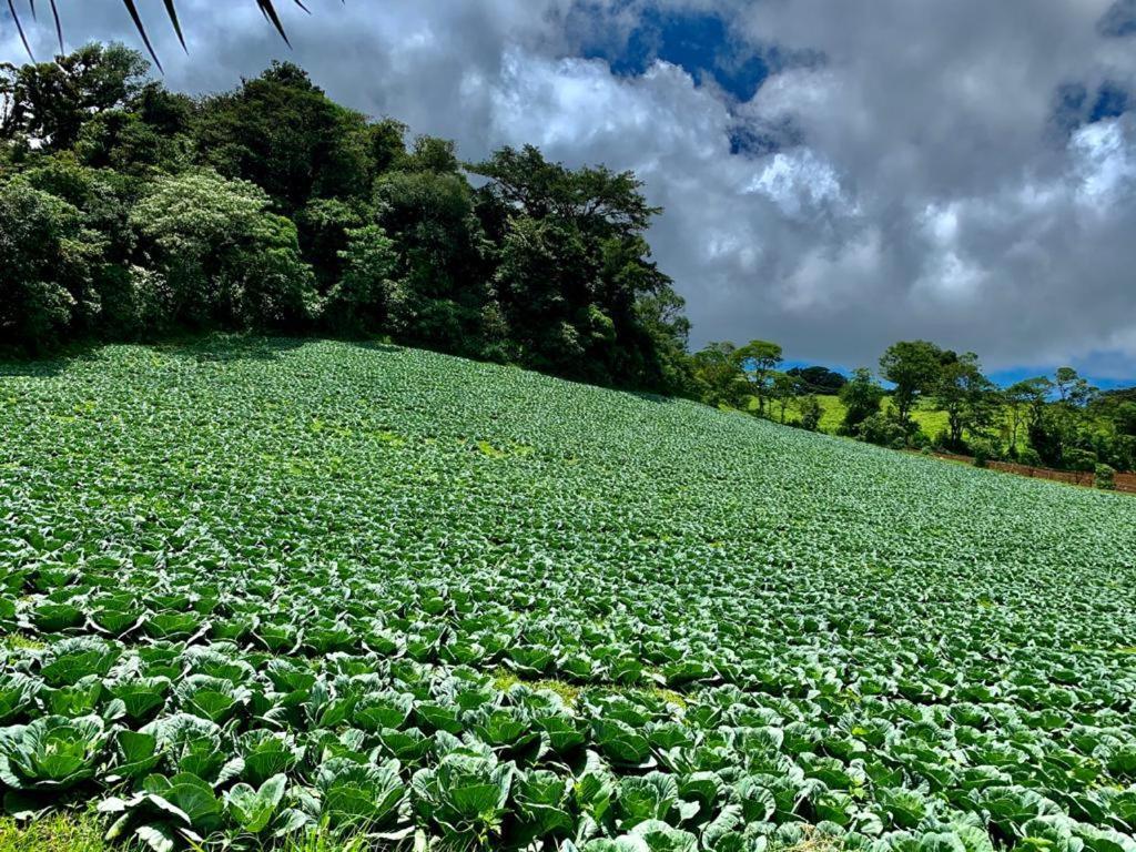 Finca Neblina Del Bosque Estelí Buitenkant foto