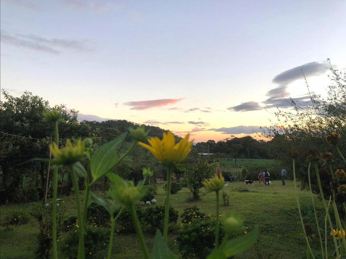 Finca Neblina Del Bosque Estelí Buitenkant foto