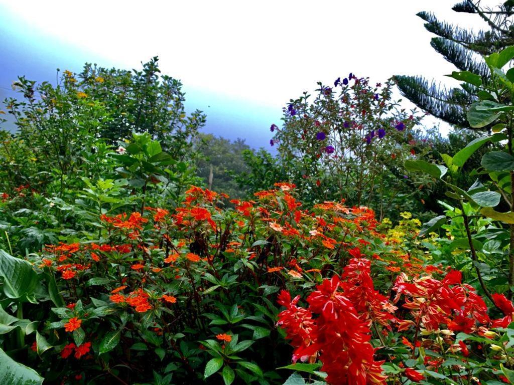Finca Neblina Del Bosque Estelí Buitenkant foto