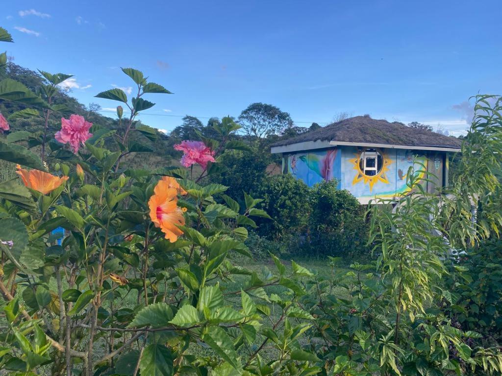 Finca Neblina Del Bosque Estelí Buitenkant foto