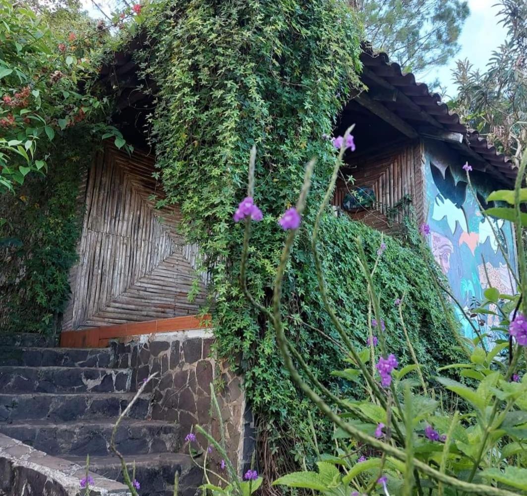 Finca Neblina Del Bosque Estelí Buitenkant foto