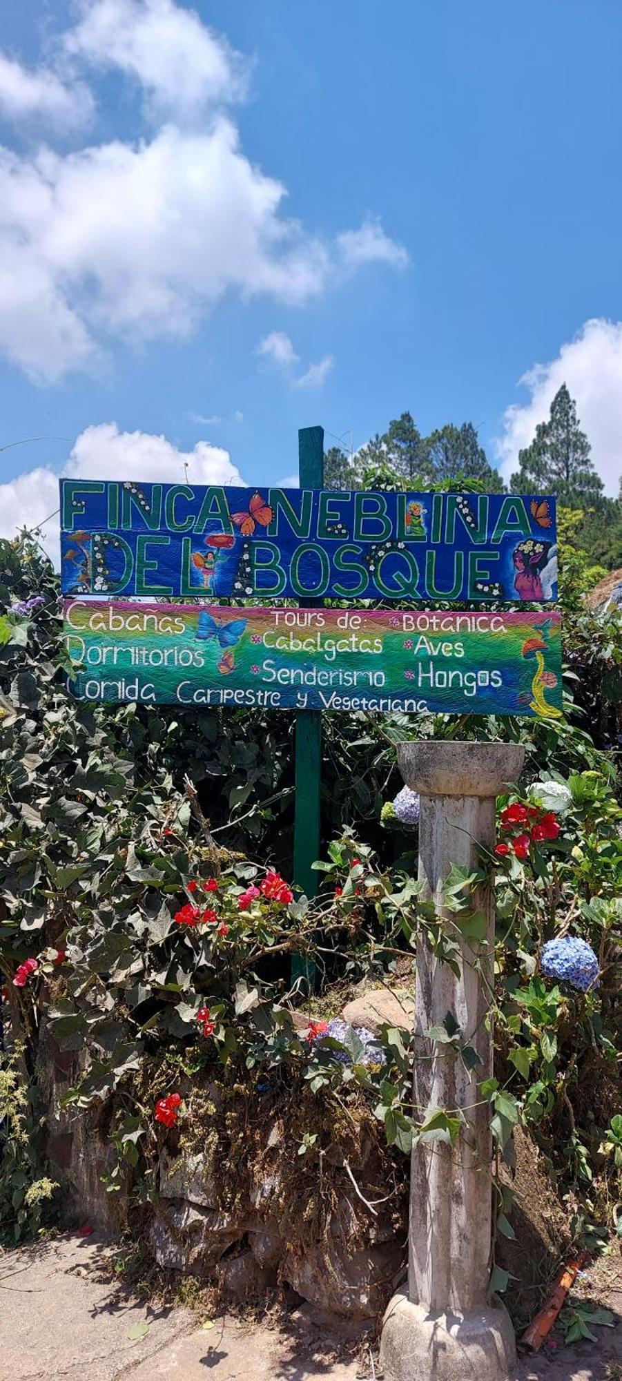 Finca Neblina Del Bosque Estelí Buitenkant foto